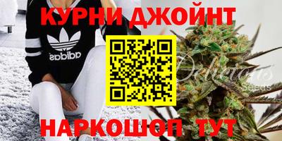 эйфоретик Кимры