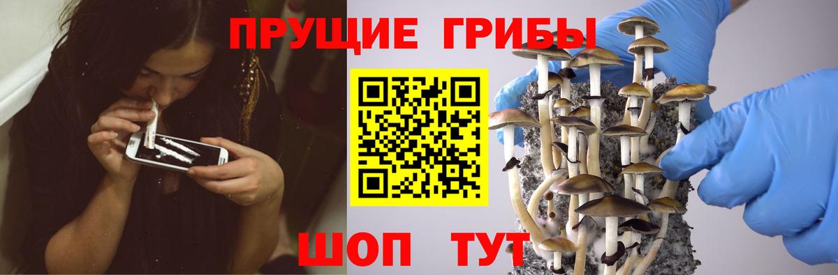 Ейск  Галлюциногенные грибы мицелий  Вход с VPN 